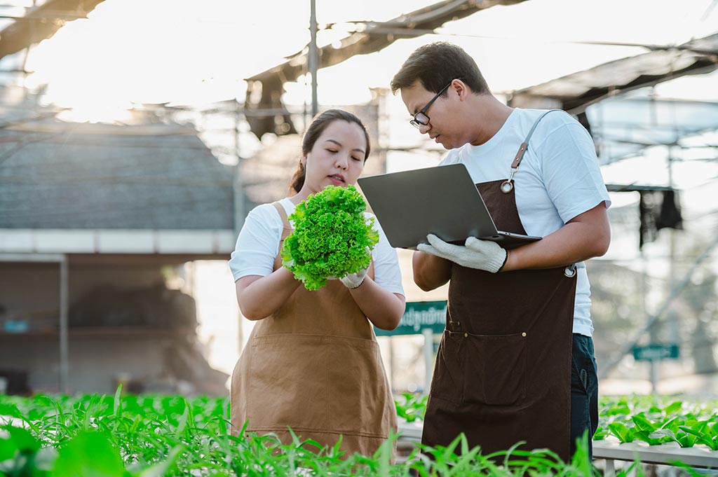 Agriculture product